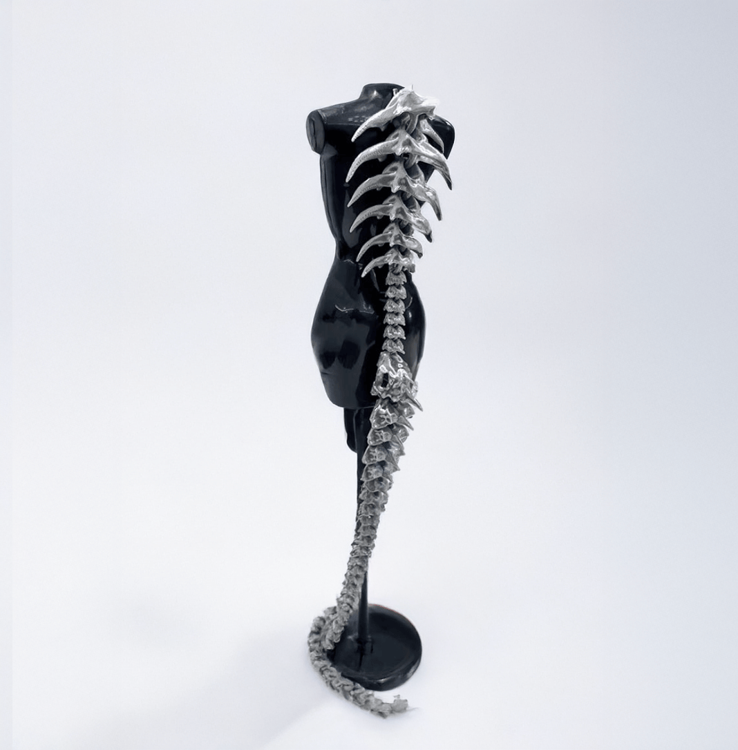 93CM 1 Giant Dragon Spine Accessories / Punk Gothic Styles