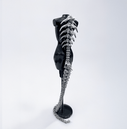 93CM 1 Giant Dragon Spine Accessories / Punk Gothic Styles