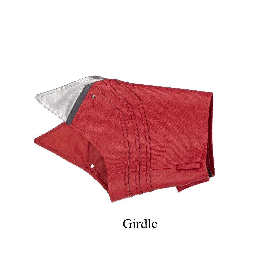 Apex Legends Sparrow Cosplay