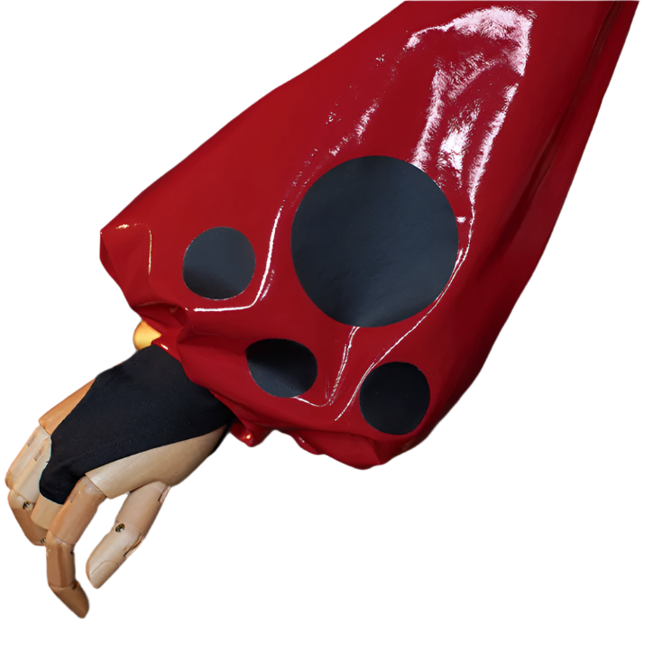 Victorious Mana Nekomiya Cosplay/ Zenless Zone Zero