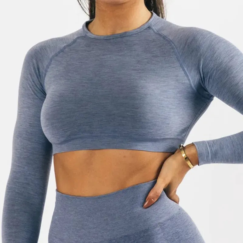 Blue Gray / S Long Sleeve Gym Crop Top / Women's Moisture-Wicking Gym Top/  Victorious Guardian
