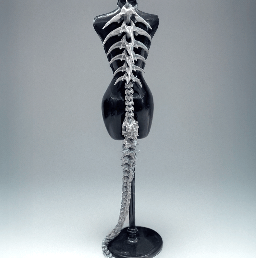 Giant Dragon Spine Accessories / Punk Gothic Styles
