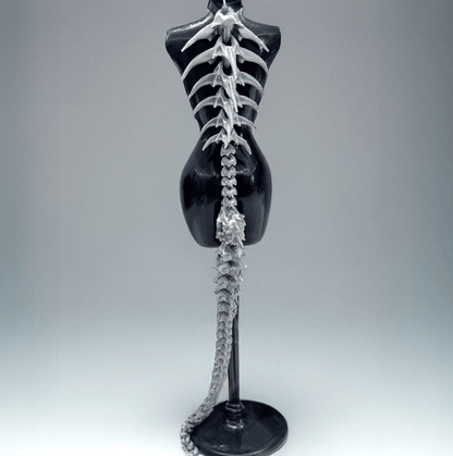Giant Dragon Spine Accessories / Punk Gothic Styles