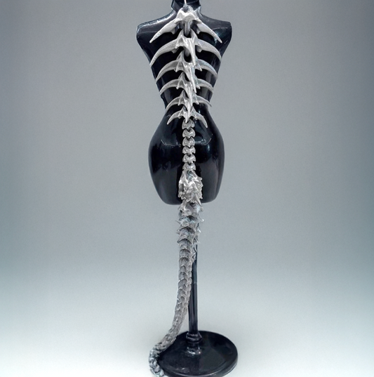 Giant Dragon Spine Accessories / Punk Gothic Styles