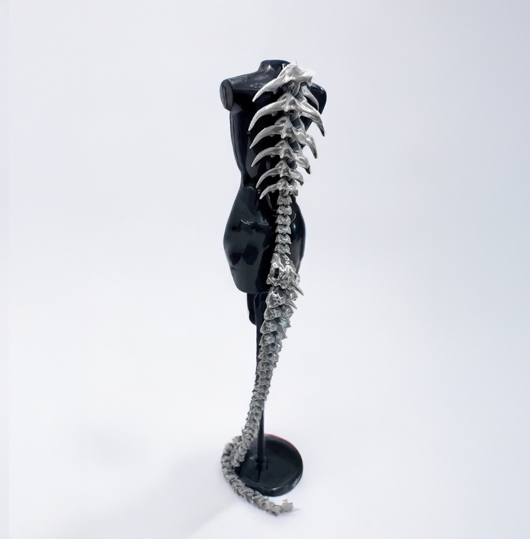 Giant Dragon Spine Accessories / Punk Gothic Styles