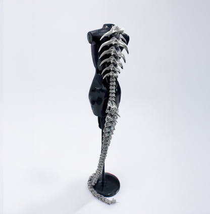Giant Dragon Spine Accessories / Punk Gothic Styles